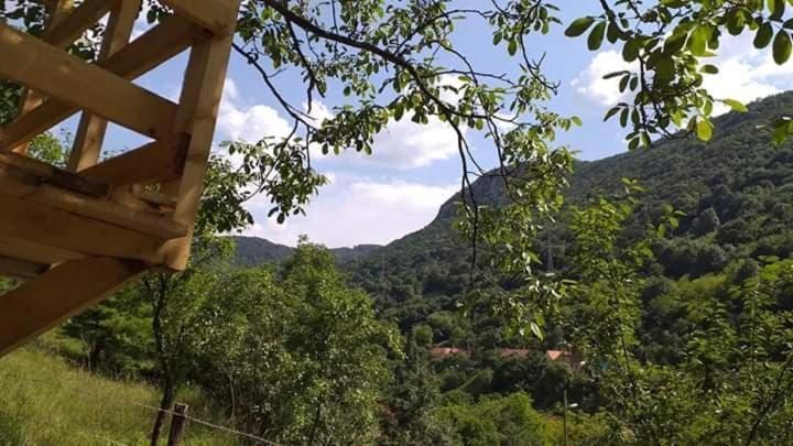 Villa Andrei Sasca Montană Exterior foto