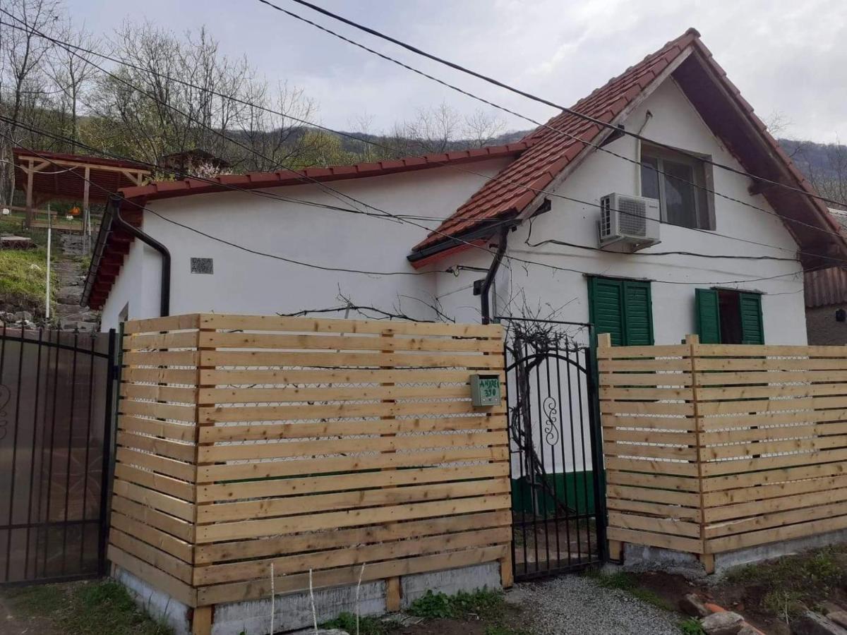 Villa Andrei Sasca Montană Exterior foto