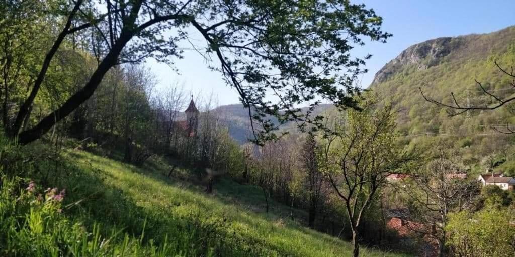 Villa Andrei Sasca Montană Exterior foto