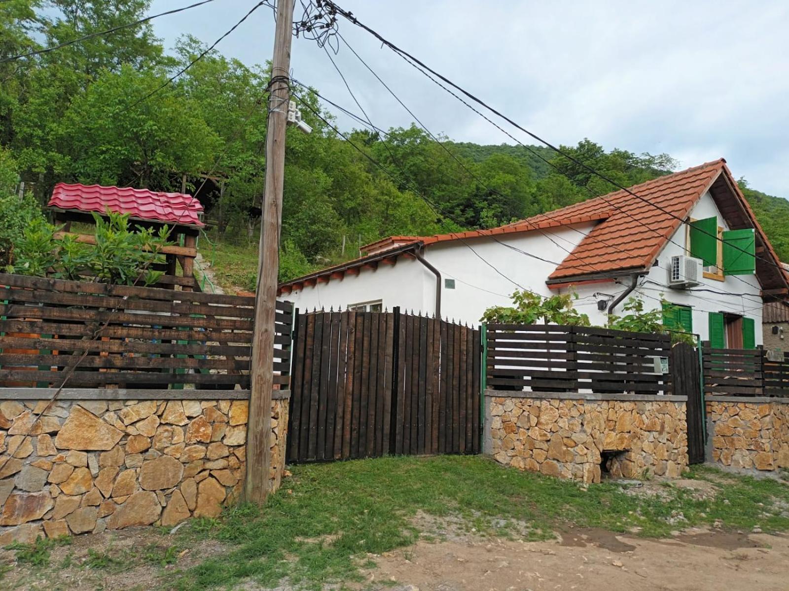 Villa Andrei Sasca Montană Exterior foto