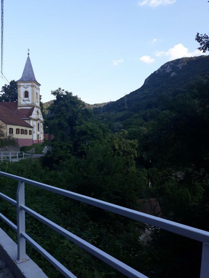 Villa Andrei Sasca Montană Exterior foto